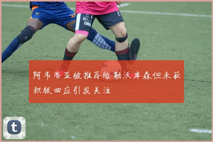 阿韦洛亚被推荐给勒沃库森但未获积极回应引发关注