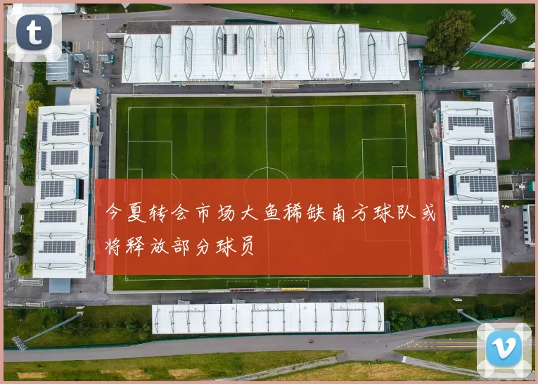 今夏转会市场大鱼稀缺南方球队或将释放部分球员